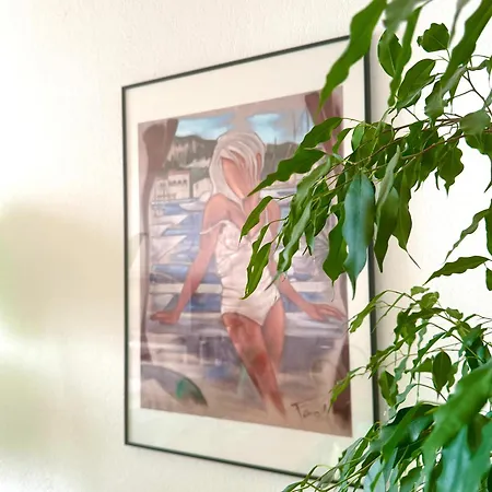 Vue Exceptionnelle Début Cap Corse La Pier Noire