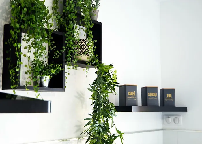 Vue Exceptionnelle Début Cap Corse La Pier Noire San-Martino-di-Lota